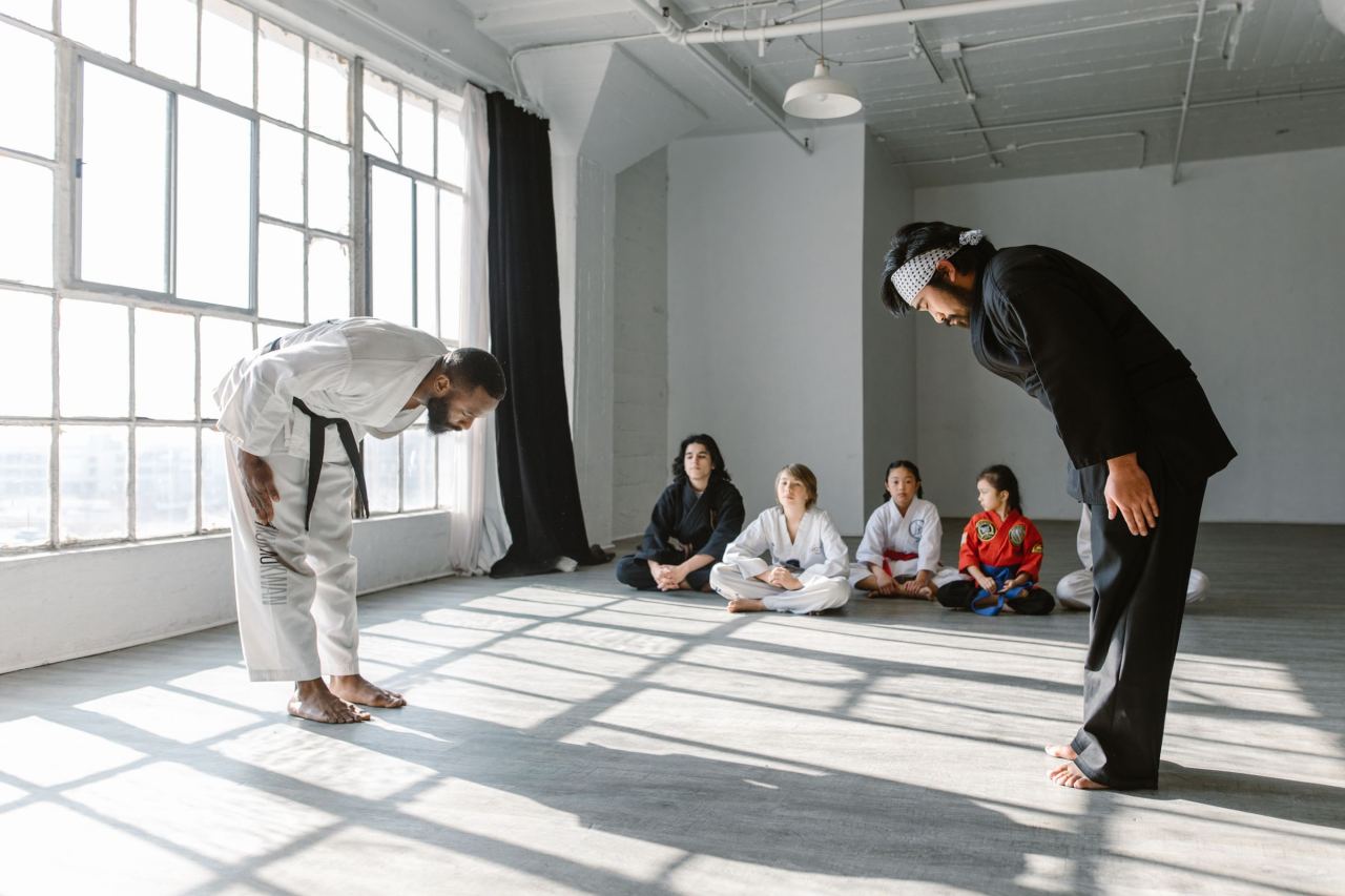 Ashihara Karate Pitești — respect în dojo