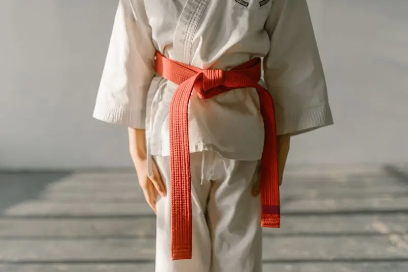 Discipline and belt